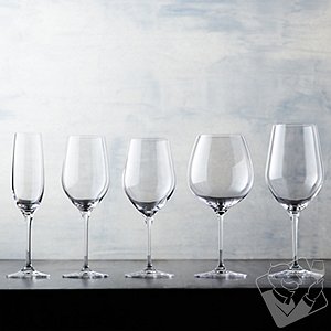 Complete Fusion Classic Wine Glass Collection (Set of 20)