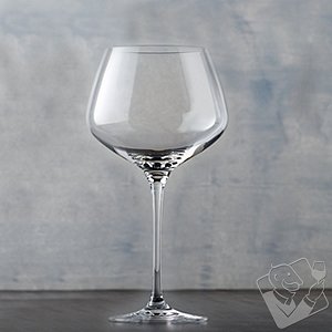 Wine Enthusiast Fusion Infinity Set of 4 Pinot Noir Wine Glasses