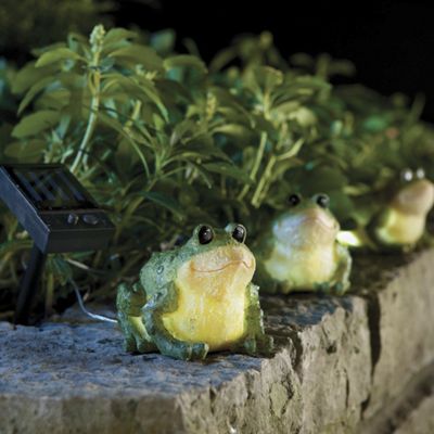 Set of 3 Frogs Solar Lights