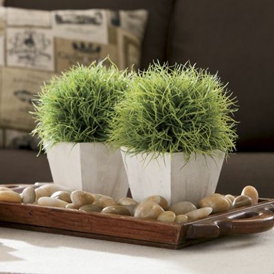 Grass Topiary