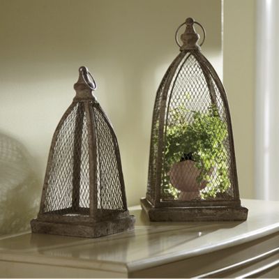 Set of 2 Plant Cloches with Trays