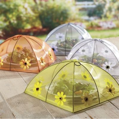 Domed Food Tent