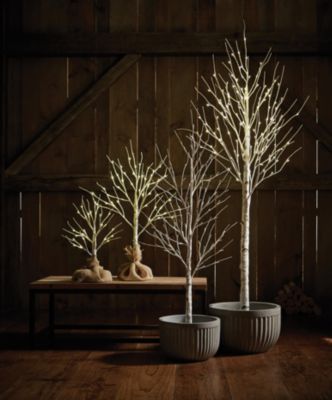 Trees Outdoor Decor Art Van