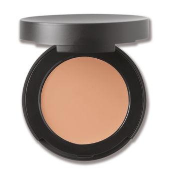 SPF20 Mini Correct & Conceal