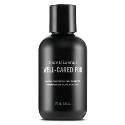 Well-Cared For Brush Conditioning Shampoo