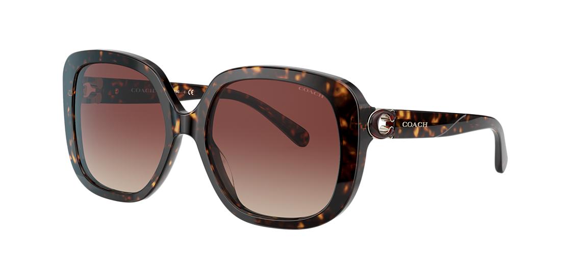 Coach Woman HC8292 - Frame color: Tortoise, Lens color: Brown Gradient Coach Woman HC8292 - Frame color: Tortoise, Lens color: Brown Gradient