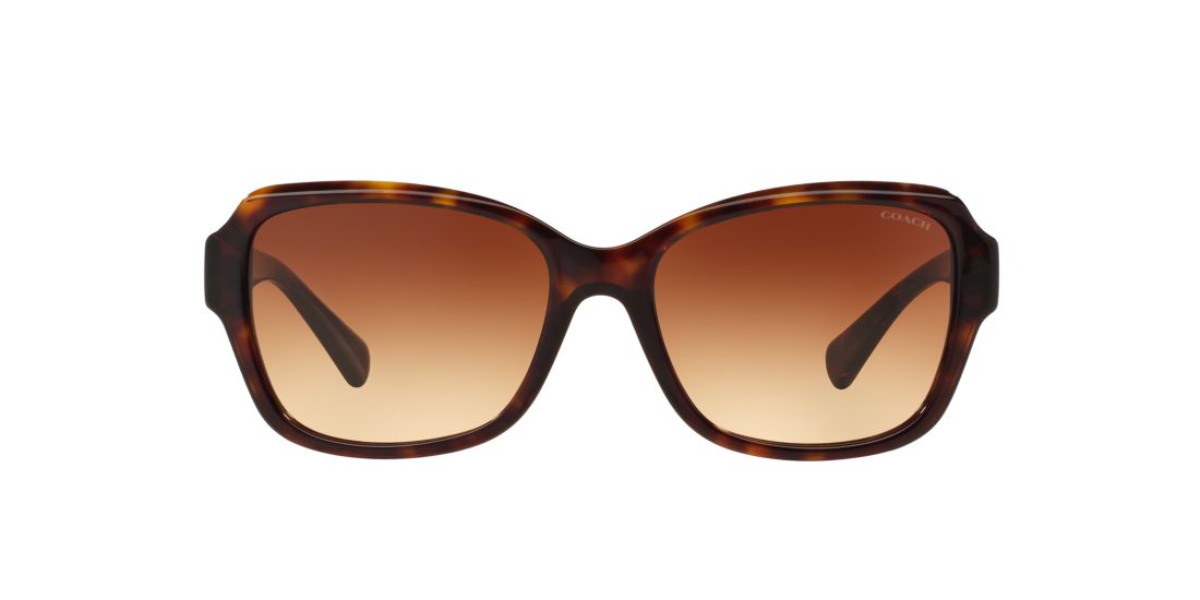 Coach HC8160 56 Brown & Tortoise Sunglasses | Sunglass Hut USA