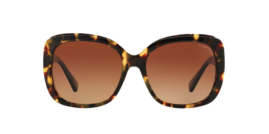 Coach HC8158 58 Brown & Tortoise Polarized Sunglasses | Sunglass Hut USA