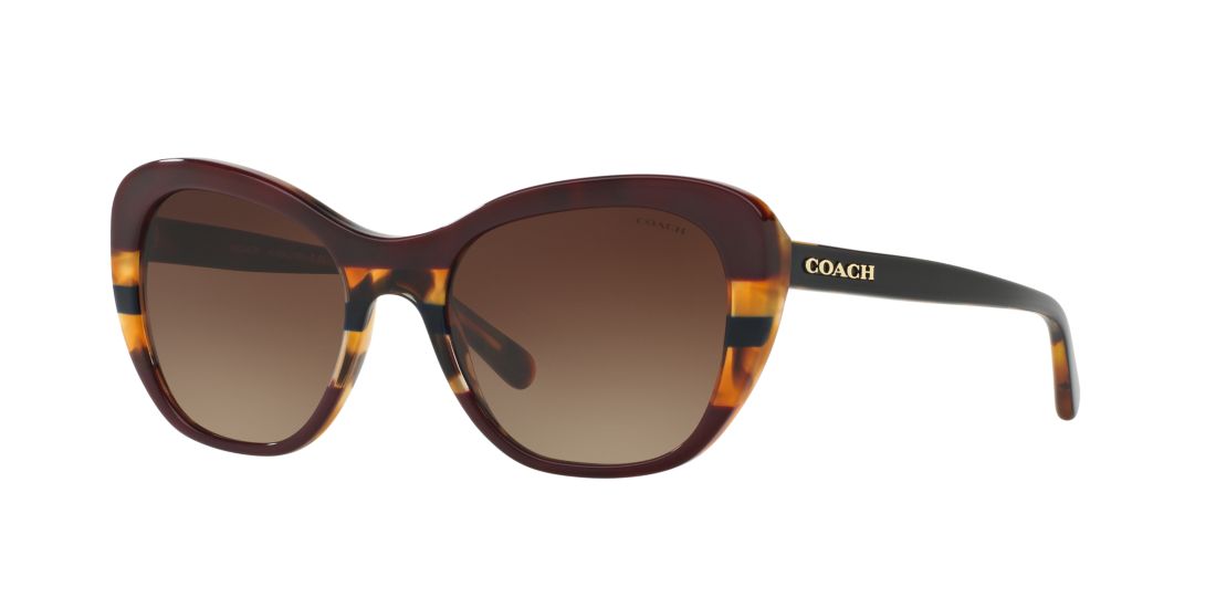 Coach Woman HC8204 - Frame color: Multicolor, Lens color: Brown, Size 52-19/140