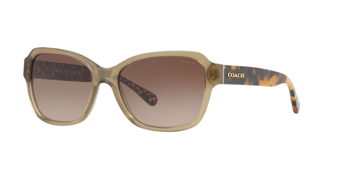 Coach Woman HC8232 - Frame color: Green, Lens color: Brown, Size 56-17/140