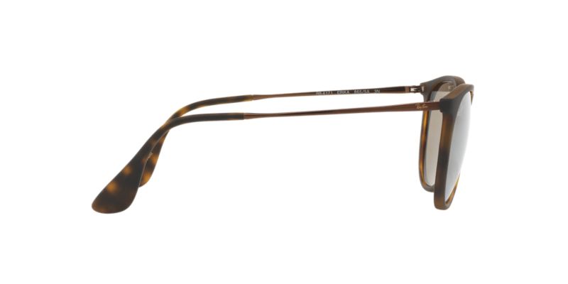 Óculos de Sol Ray-Ban RB4171L Erika | Sunglass Hut