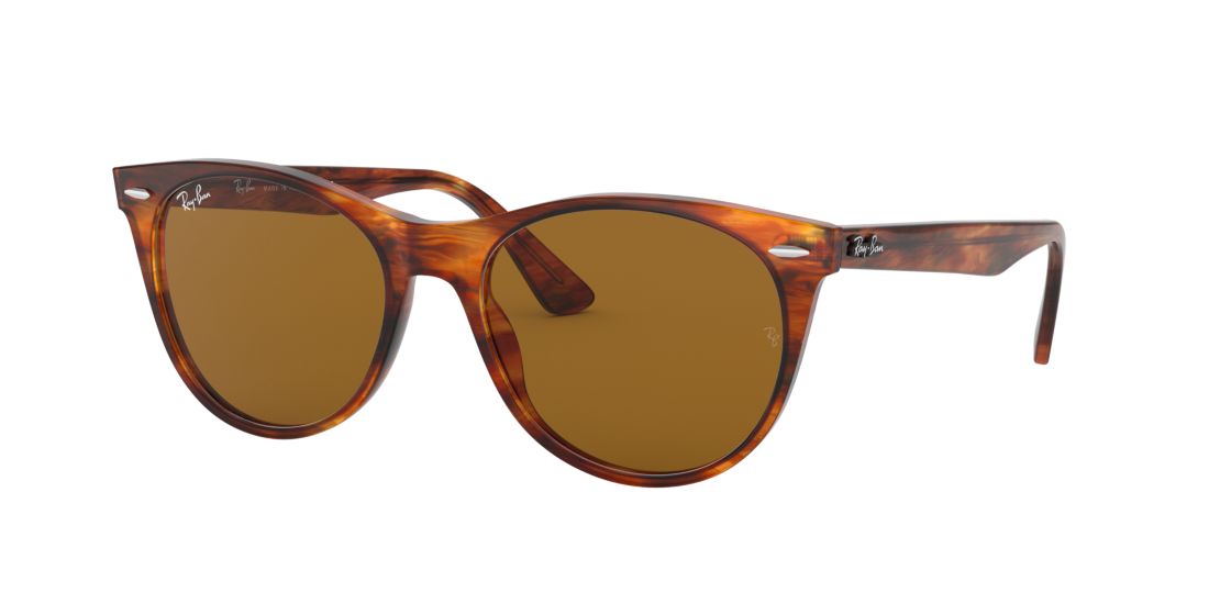 Shop Ray Ban Ray In Brown Classic B-15