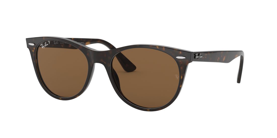 Ray Ban Wayfarer Ii Tortoiseshell Sunglasses In Polarized Brown Classic B-15