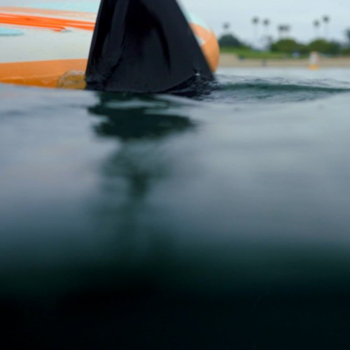 Retrospec Replacement Weekender iSUP Fins | SCHEELS.com