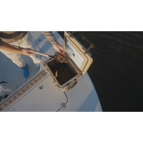 Flop Box 20 Bait Cooler