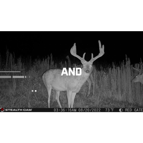 Stealth Cam Revolver 360-Degree Cellular Trail Camera