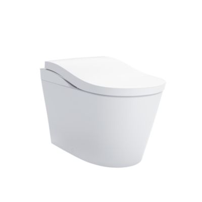 Toilets - One-Piece, Two-Piece, Elongated, Round, Compact Toilets & More