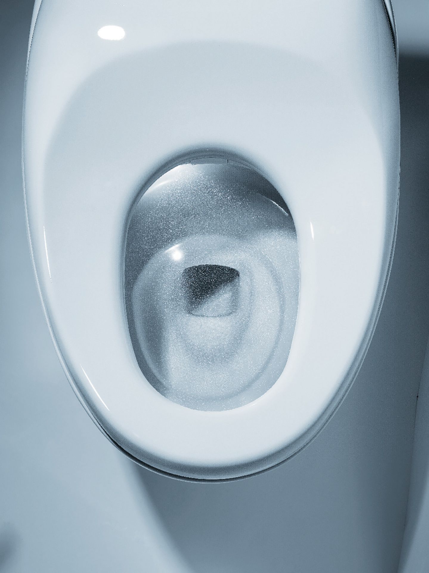 NEOREST® NX2 Dual Flush Toilet 1.0 GPF & 0.8 GPF